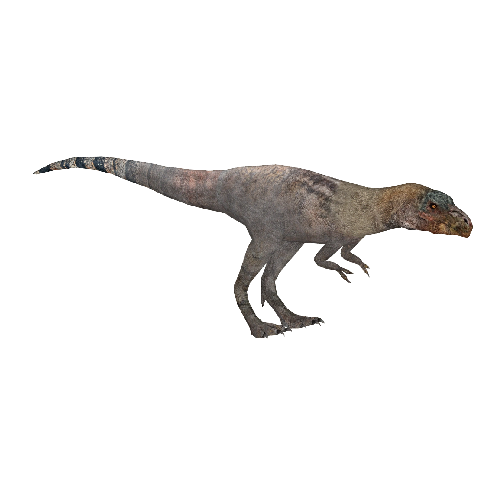 Tyrannosaurus rex (Blue Fang) | ZT2 Download Library Wiki | Fandom