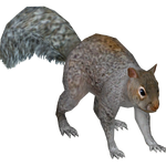 Eastern Gray Squirrel (Ulquiorra)