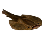 Drepanaspis (Imago)