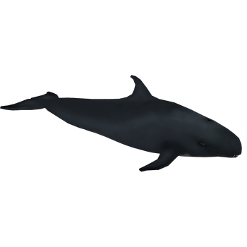 False Killer Whale (Blue Fang) | ZT2 Download Library Wiki | Fandom