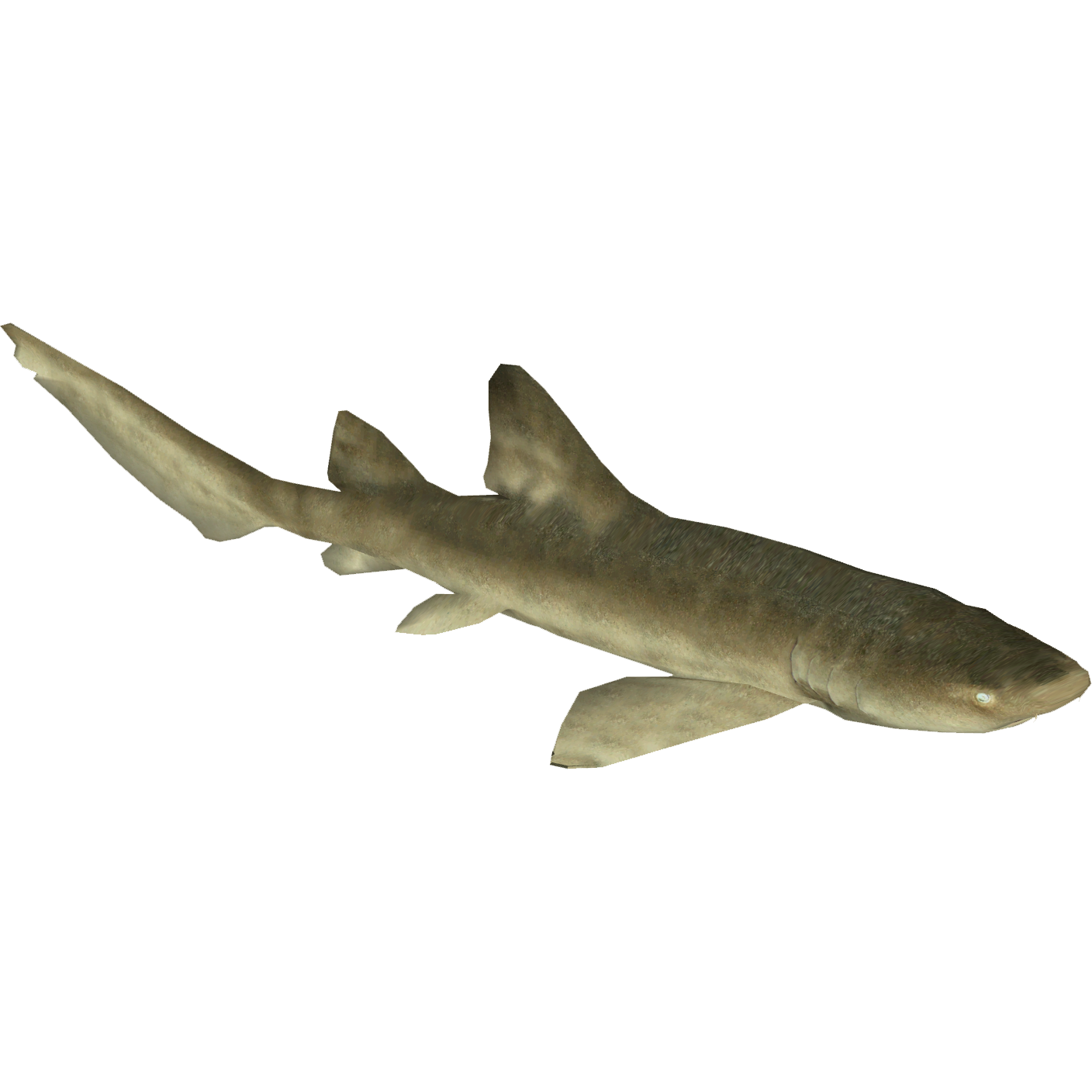 Nurse Shark Games