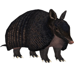 リノ B2タペストリー Armadillo Amazon.co.jp: Ikimono Encyclopedia Advanced Armadillo Lizard