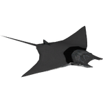 Giant Mobula Ray (Terrena Laxamentum)