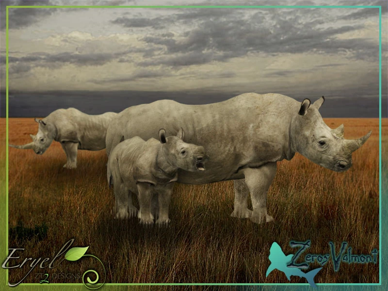 Northern White Rhinoceros (Zerosvalmont) | ZT2 Download Library