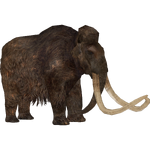 Woolly Mammoth (Zoo Tycoon 2 Thailand)