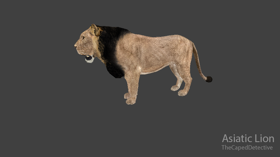 Asiatic Lion (TheCapedDetective) | ZT2 Download Library Wiki