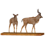 Greater Kudu Statue (Ludozoo)