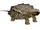 Alligator Snapping Turtle (Worldwide Designers United)