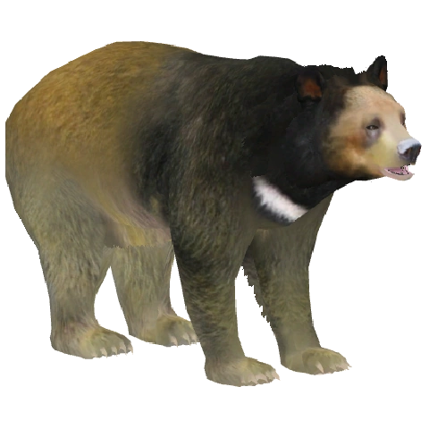 latest?cb=20160503085420