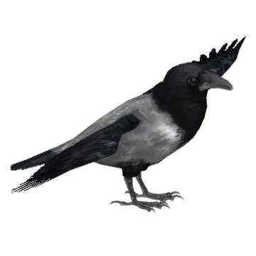 烏 crow Yugioh Caligo Claw Crow YS13-EN008 Common 1st Edition LP | eBay