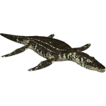 Liopleurodon (HENDRIX)