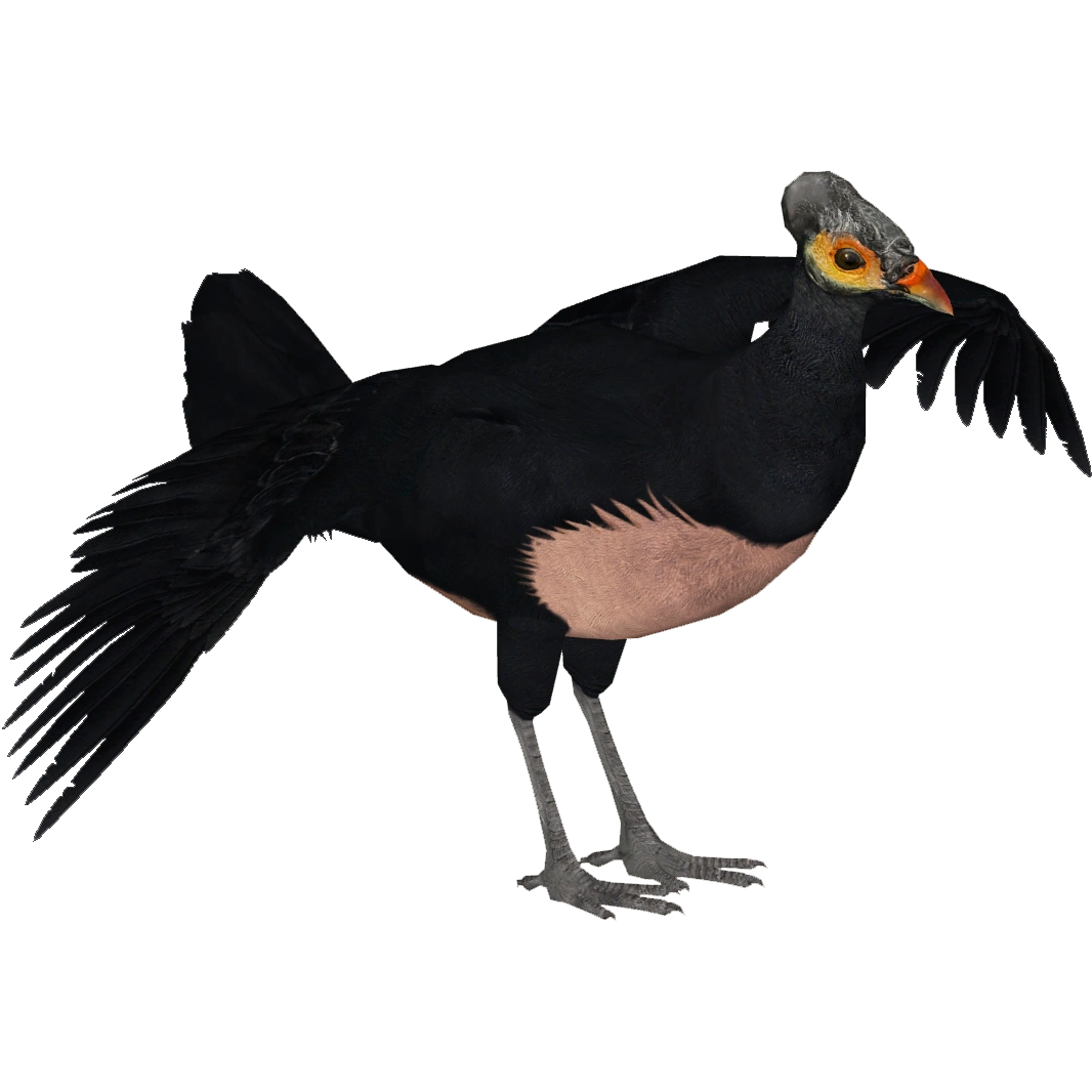 ミーナ・アッキジルッカ/ Artwork Tyko tullaan Black LA ARAÑA (The Spider) #33 by artist Anima ex Manus Art Dolls