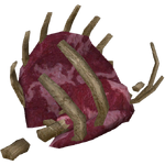 Carcass Meat (Zoker)