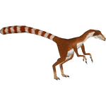 Sinosauropteryx (16529950)