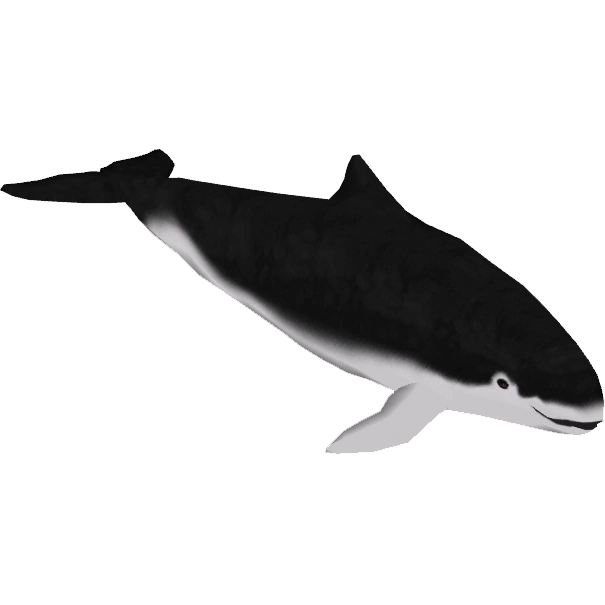 Spectacled Porpoise (ZetaDesigns) ZT2 Download Library Wiki Fandom