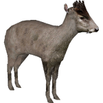 Tufted Deer (DutchDesigns)