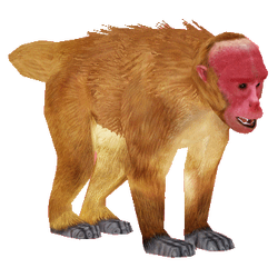 Category New World Monkeys Zt2 Download Library Wiki Fandom Category New World Monkeys Zt2 Download Library Wiki Fandom