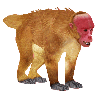 その他 WASELEY BEAR&MARCEL MONKEY Category:New World Monkeys | ZT2 Download Library Wiki | Fandom