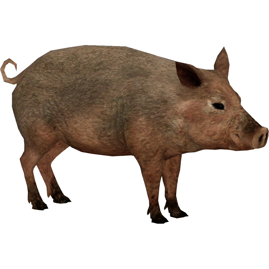 Pig ☆ Amazon.com: ORB Funkee Animalz Pig Jumbo (Pink) - Big 4.5 lb