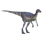 Parksosaurus (Philly)
