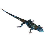Blue-spotted Tree Monitor (Zoo Tycoon 2 World)