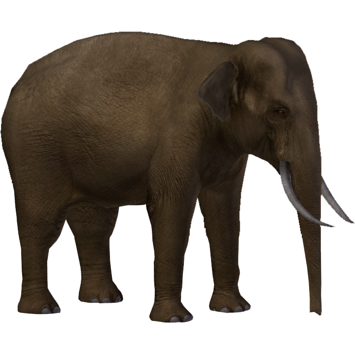 zoo tycoon 2 radical remake elephant