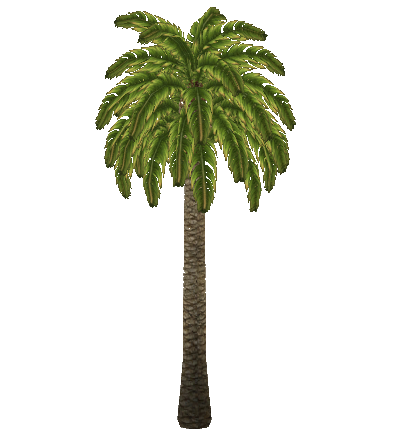 Canary Island Date Palm Zelda Maniack Zt2 Download Library Wiki Fandom