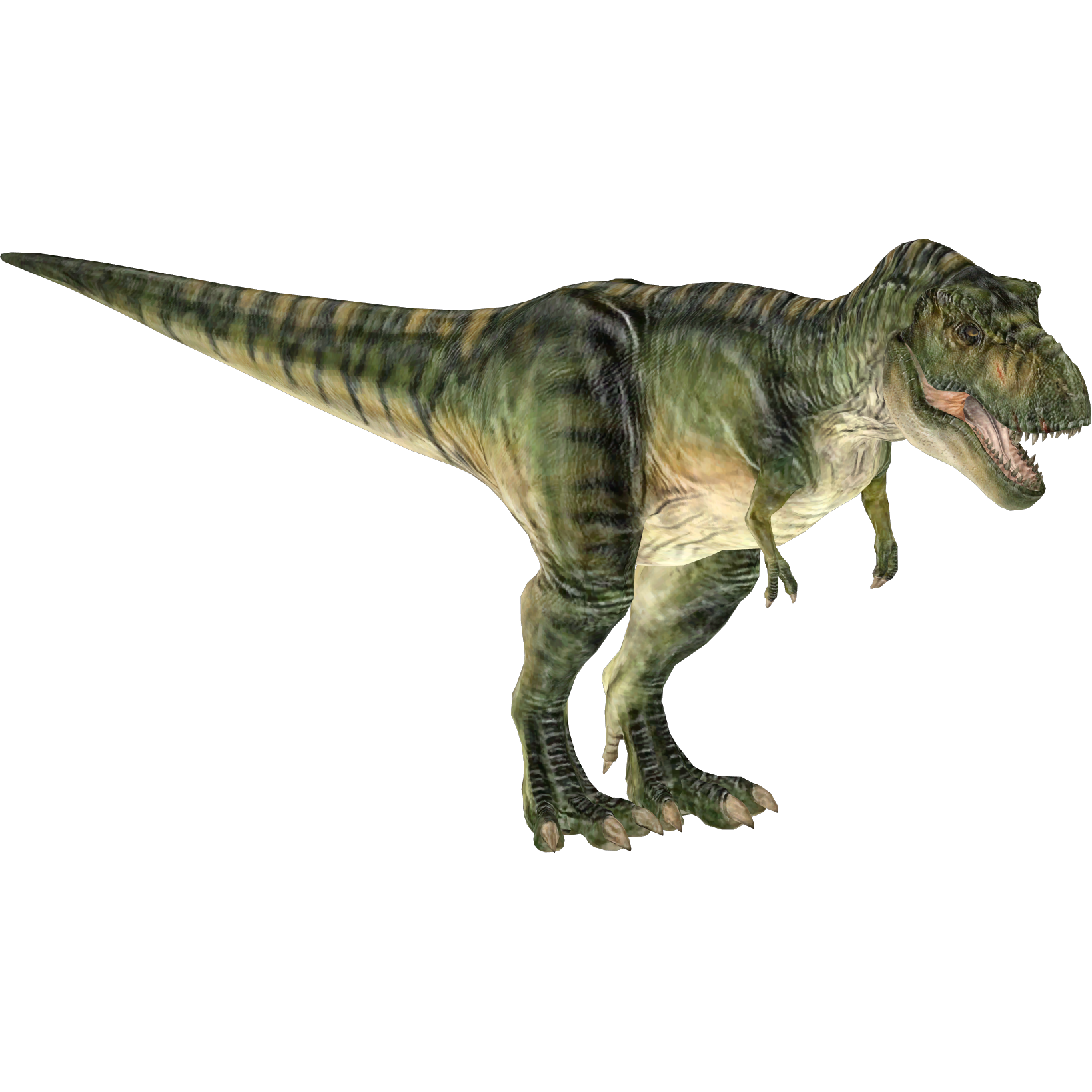 Tyrannosaurus rex (Zoo Tycoon 2) - Zoo Tycoon Wiki