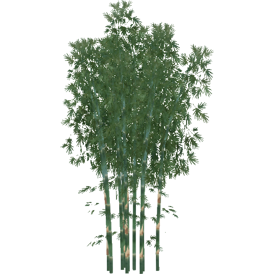 Indian Timber Bamboo (Aurora Designs) | ZT2 Download Library Wiki | Fandom