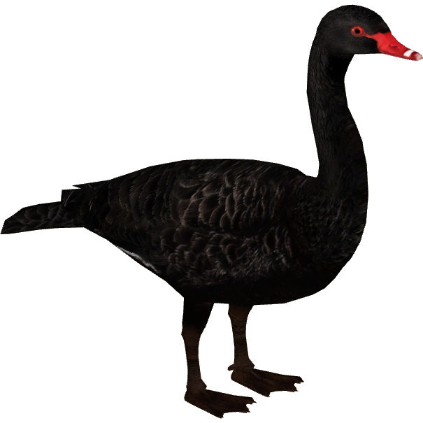 Brant NatureRules1 Wiki Fandom