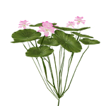 Indian Lotus (Aurora Designs) (718 KB) Indian Lotus (Aurora Designs)