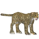 Persian Leopard (Kangorilaphant)