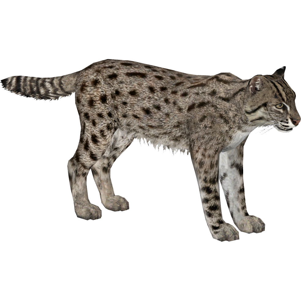 Fishing Cat (Lgcfm) | ZT2 Download Library Wiki | Fandom