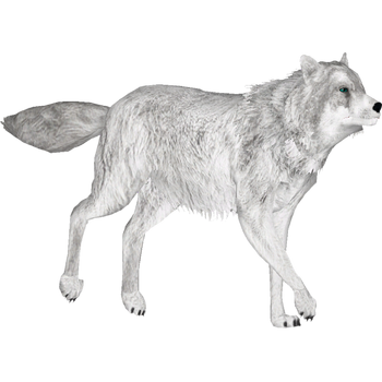 Gray Wolf (Ultamateterex2) | ZT2 Download Library Wiki | Fandom