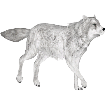 Wolfy さま ふわかるWOOLLY+ ポケット 無地＆柄 CPOブルゾン (B＆T CLUB