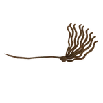 Kelp Food (Jannick)