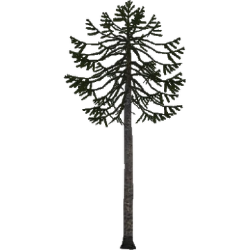 treeさま 360?cb=20150902180922