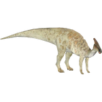 Saurolophus (Philly)