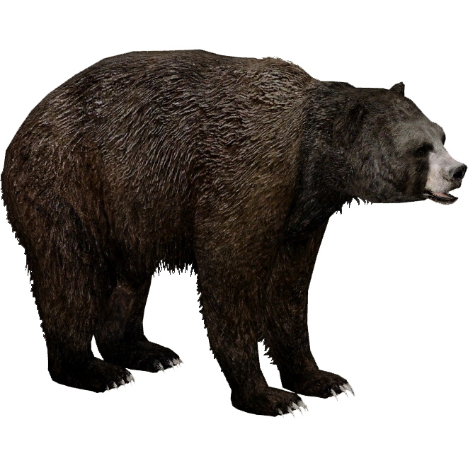 Short-Faced Bear (Eryel & Sam) | ZT2 Download Library Wiki | Fandom