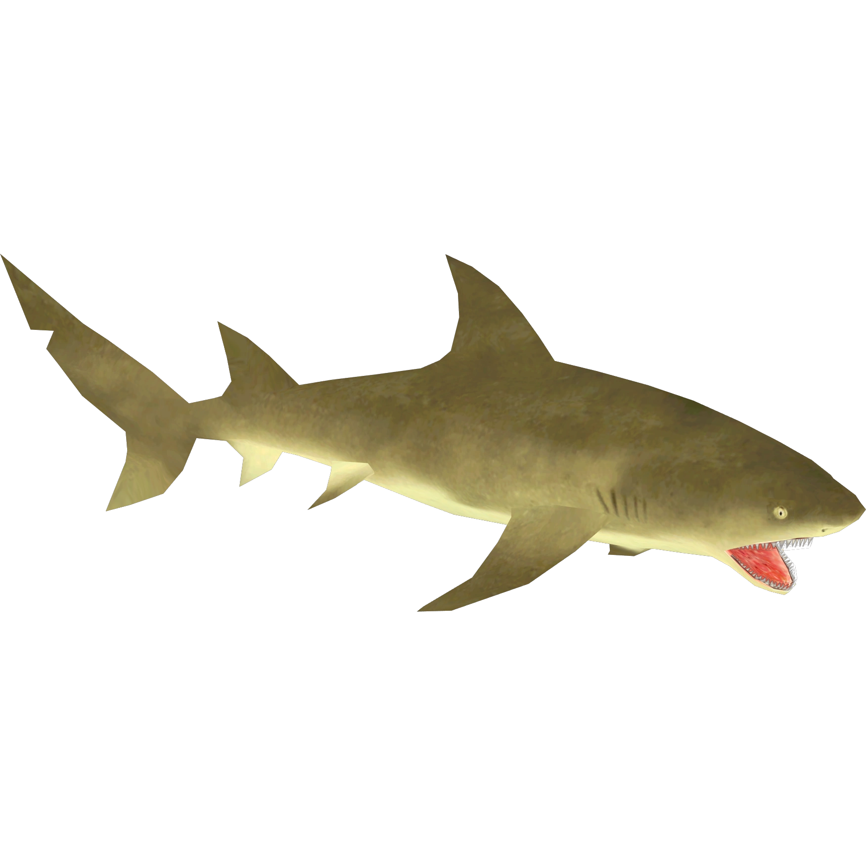 Sicklefin Lemon Shark (Buffzoo & Lgcfm) | ZT2 Download Library