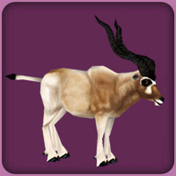 Arabian Oryx (Bonus Download) at Zoo Tycoon 2 Nexus - Mods and community