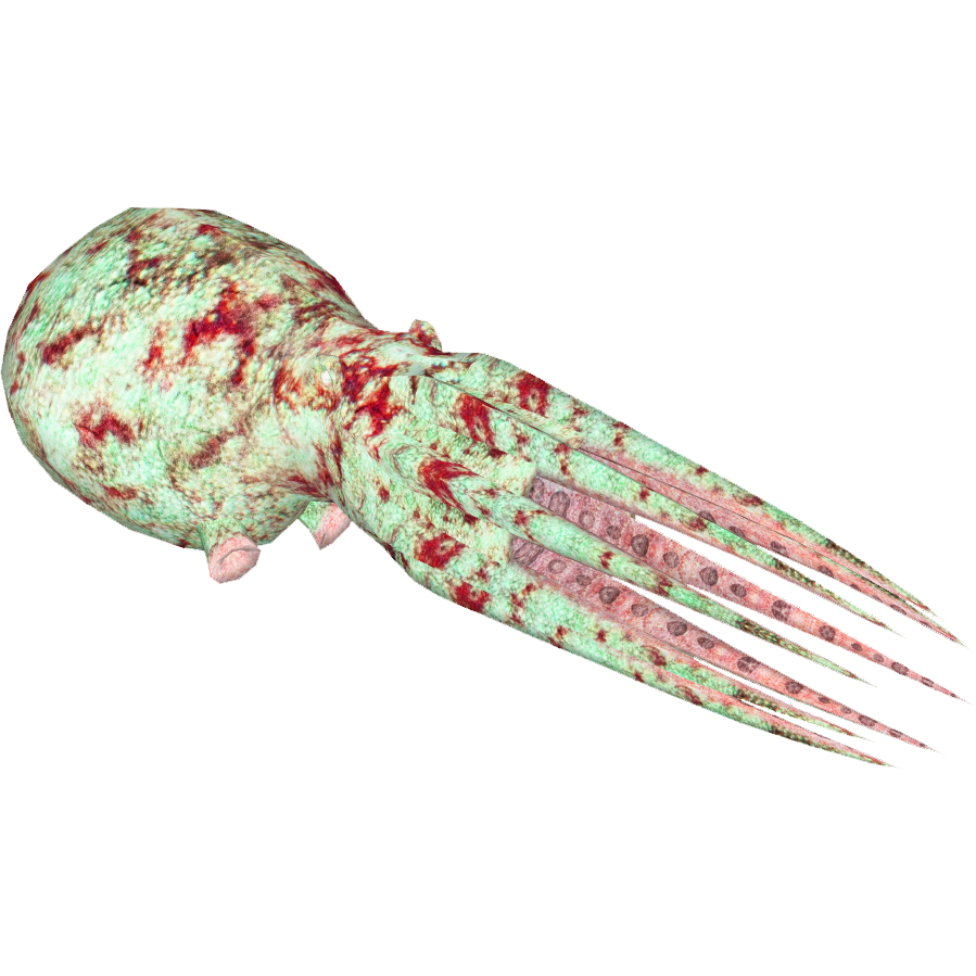 Caribbean Reef Octopus (Luca9108 & Maks) | ZT2 Download
