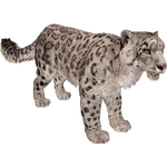 Snow Leopard (Aurora Designs) (55 KB) Snow Leopard (Aurora Designs)