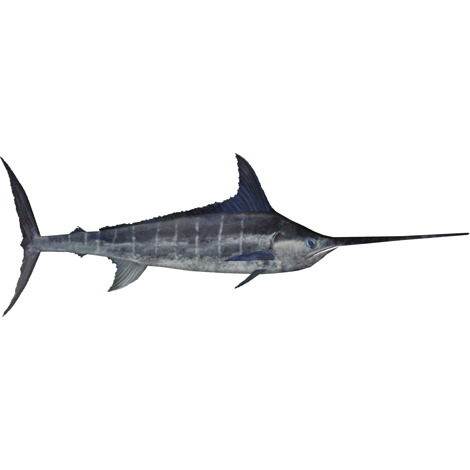 Marlin - Wikipedia