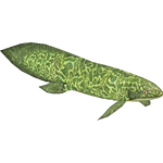 Triassic Lungfish (Zhadow)