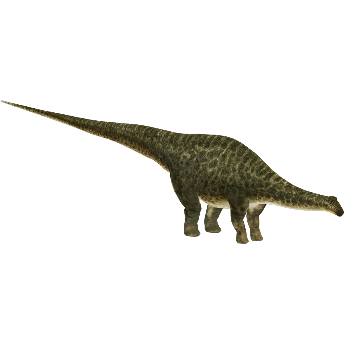 Apatosaurus (HENDRIX) | ZT2 Download Library Wiki | Fandom