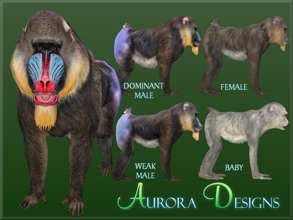 Radical Remake (Aurora Designs), ZT2 Download Library Wiki