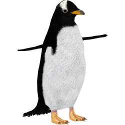 Category:Penguins | ZT2 Download Library Wiki | Fandom