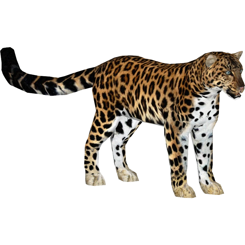 Леопард пнг рисунок
