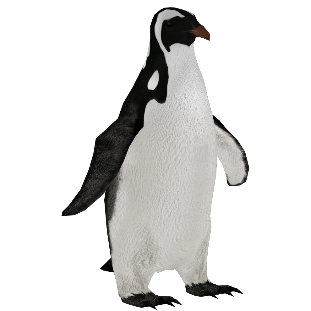 latest?cb=20210317184812